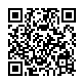 QR PREMICRON grün 45cm HR 13 5-0 12 Stk