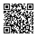 QR DIEM LECTEUR ROM BRAUN 1.5