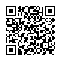 QR DIEM LESEBR ROM BRAUN 2.0