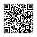 QR DIEM LÄSARE ROM BRAUN 2.5