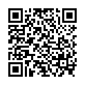 QR DIEM LECTEUR ROM BRAUN 3.5