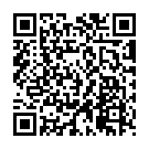 QR FINGRS שיער אדם ריסים שחורים 005 2 יח'