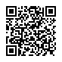 QR 밤부 카운터 디스플레이 DT ASS