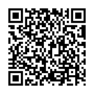 QR VENOSAN 4001 A-GHS KKL1 XL 숏컷 샌드 1켤레