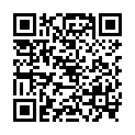 QR DIEM LESEBR GENF GRUEN 2.0