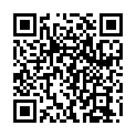 QR DIEM LESEBR GENF GRUEN 2.5