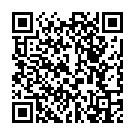 QR SIGVARIS COMF4 A-D KKL2 L norma gris oscuro 1 par