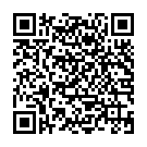 QR SIGVARIS COMF4 A-D KKL2 L norma ges gris 1 par