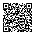 QR SIGVARIS COMF4 A-D KKL2+ L norma ges cinza 1 par