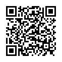 QR Сменный блок Phytodor Element Feuer 20 мл