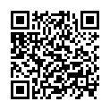 QR Фитодор Element Metal сменный блок 20 мл