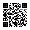 QR НИКОЛЬ ДЬЕМ ЛЕСЕБР ФЛО Ш 3.0