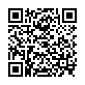 QR НИКОЛЬ ДЬЕМ ЛЕСЕБР ФЛО Ш 2.5