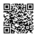 QR НИКОЛЬ ДЬЕМ ЛЕСЕБР ФЛО Ш 2.0