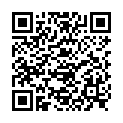 QR НИКОЛЬ ДЬЕМ ЛЕСЕБР ФЛО Ш 1.0