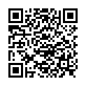 QR НИКОЛЬ ДЬЕМ ЛЕСЕБР ФЛО РОС 3.5