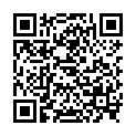 QR НІКОЛЬ ДІЕМ ЛЕСЕБР ФЛО РОС 3.0