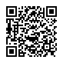 QR НІКОЛЬ ДІЕМ ЛЕСЕБР 2.5