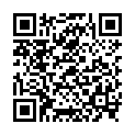 QR НИКОЛЬ ДЬЕМ ЛЕСЕБР SISL BL 2.0