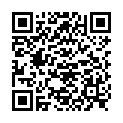 QR НИКОЛЬ ДЬЕМ ЛЕСЕБР SISL BL 2.5