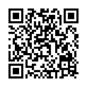 QR НИКОЛЬ ДЬЕМ ЛЕСЕБР SISL BL 3.0