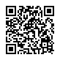 QR НИКОЛЬ ДИЕМ ЛЕСЕБР НЬЮЛ DA 1.5