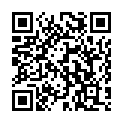 QR НИКОЛЬ ДЬЕМ ЛЕСЕБР НЬЮЛ DA 2.0