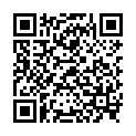 QR НИКОЛЬ ДЬЕМ ЛЕСЕБР НЬЮЛ DA 2.5