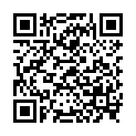 QR НІКОЛЬ ДІЕМ ЛЕСЕБР NEWL DA 3.0