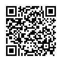 QR НИКОЛЬ ДЬЕМ ЛЕСЕБР НЬЮЛ DA 3.5