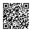 QR НИКОЛЬ ДИЕМ ЛЕСЕБР НЬЮЛ RO 3.0