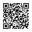 QR НИКОЛЬ ДИЕМ ЛЕСЕБР НЬЮЛ RO 3.5