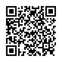 QR НИКОЛЬ ДЬЕМ ЛЕСЕБР СПАРК D 1.0