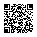 QR НИКОЛЬ ДЬЕМ ЛЕСЕБР СПАРК D 1.5