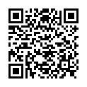 QR НИКОЛЬ ДЬЕМ ЛЕСЕБР СПАРК D 2.0