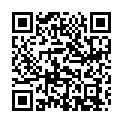 QR НИКОЛЬ ДЬЕМ ЛЕСЕБР СПАРК D 3.0