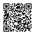 QR НИКОЛЬ ДЬЕМ ЛЕСЕБР СПАРК D 3.5