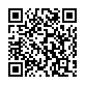 QR НИКОЛЬ ДИЕМ ЛЕСЕБР СИСЛ ER 1.0