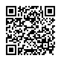 QR НИКОЛЬ ДИЕМ ЛЕСЕБР СИСЛ ER 1.5