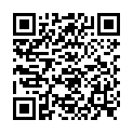 QR НИКОЛЬ ДЬЕМ ЛЕСЕБР СИСЛ ER 2.0