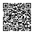 QR Vasco Nitril Light Muayene Eldiveni XL lateks içermeyen unpud