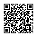 QR JOGO ARBATA HIMALAJŲ 1012