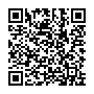 QR फार्माप्लास्ट 1x कैथेटर CH08 40 सेमी नेलाटन 100 पीसी
