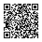 QR Фармапласт 1x Катетер CH20 40см Нелатон 100 шт.