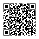 QR SIGVARIS MAGIC A-T KKL2 XL 표준 캐람 1쌍