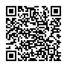 QR SIGVARIS MAGIC A-T KKL2 XL norm ges črna 1 par