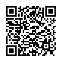 QR A.フォーゲルアイズライト 30錠