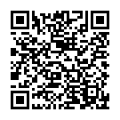 QR Шприц HSW Norm-Ject 10 мл ексцентрик 2 шт. 100 шт.