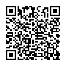 QR Elastomull 弹性绷带 4mx10cm 聚丙烯