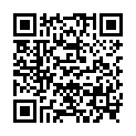 QR Vitility Gehstockhalter